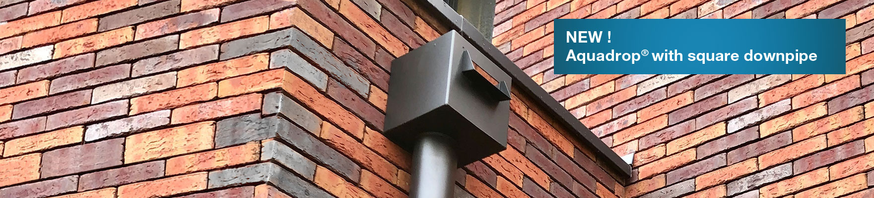 Aquadrop rainwater collector and downpipe on a brick wall
