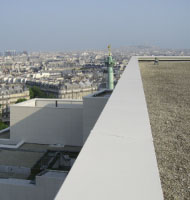 Aluminum coping systems