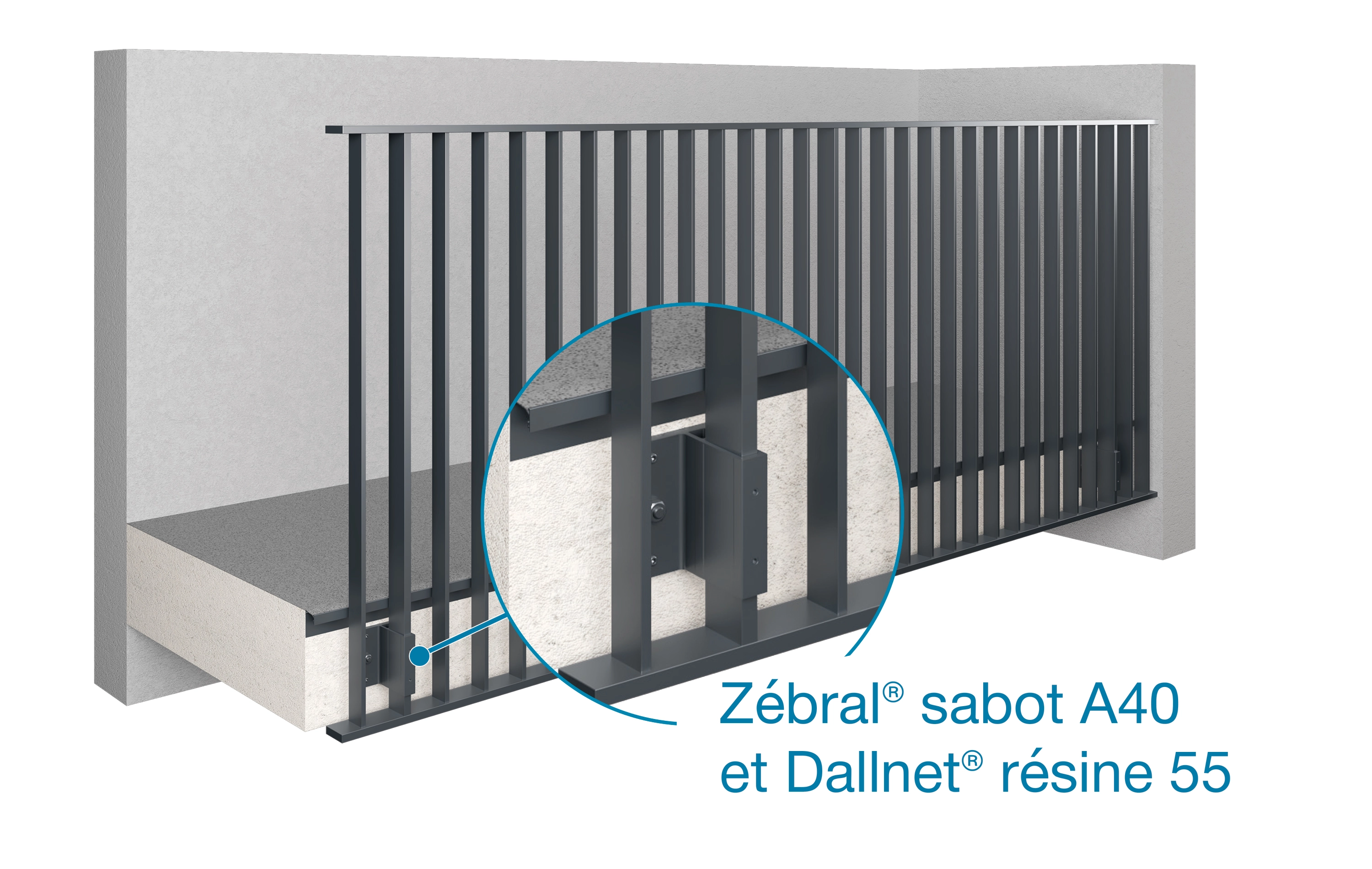 Zebral avec sabot A40 et dallnet résine 55